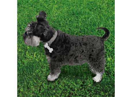 Weich-Reflektor "Knochen"