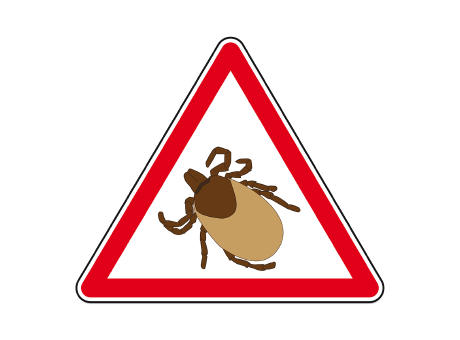 Zeckenentferner mit Lupe