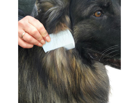 Floh- und Läusekamm