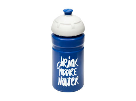 Trinkflasche "Champion" 0,55 l
