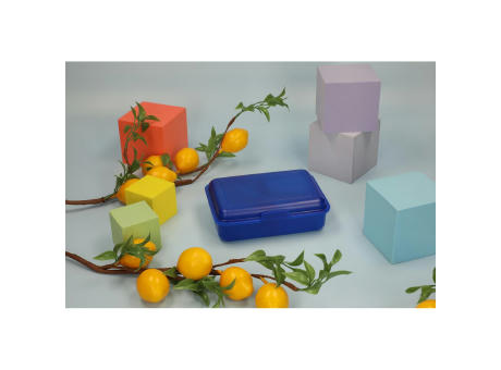 Vorratsdose "School-Box" mittel mit Trennwand