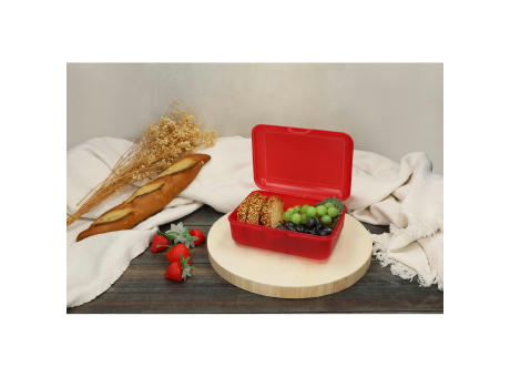 Vorratsdose "School-Box" deluxe, ohne Trennschale