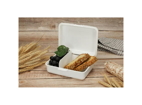 Vorratsdose "School-Box" groß, mit Trennschale