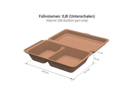 Menübox "ToGo" medium