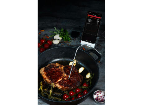 Nestler-matho HOT BBQ Thermometer 594