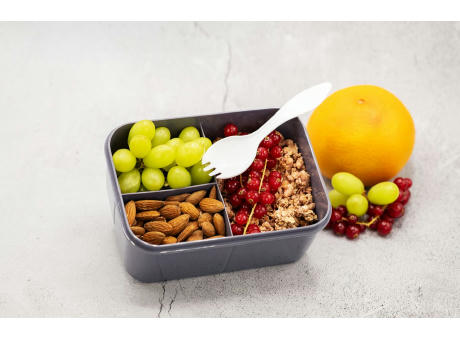 Nestler-matho SNACK Auslaufsichere Lunchbox mit Inneneinteilung und Göffel