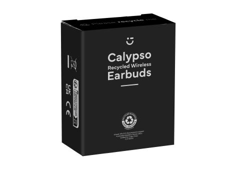 Calypso RCS Recycled Wireless Earbuds Ohrhörer