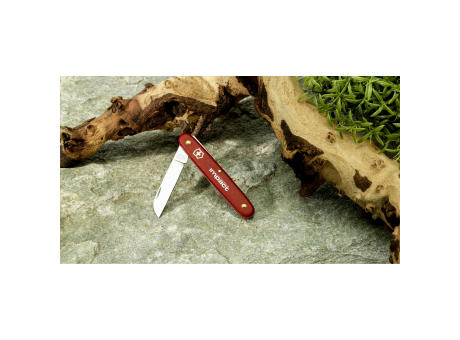 Victorinox Ecoline Blumenmesser