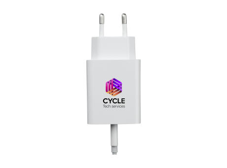 2-in-1 RCS Cable Charging Set Ladegerät-Set