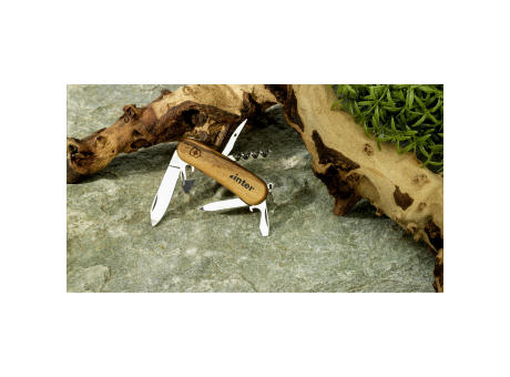 Victorinox Evolution 10 Wood Taschenmesser