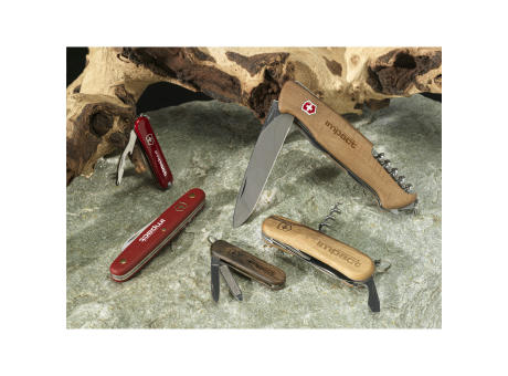 Victorinox Evolution 10 Wood Taschenmesser