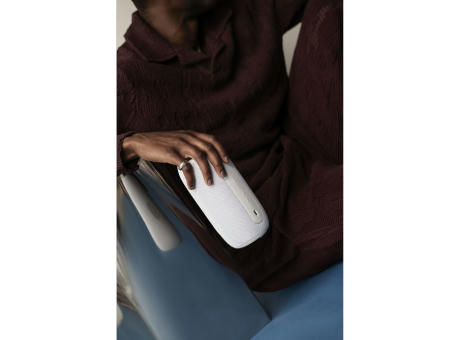 Sudio Bluetooth Speaker F5 Pro