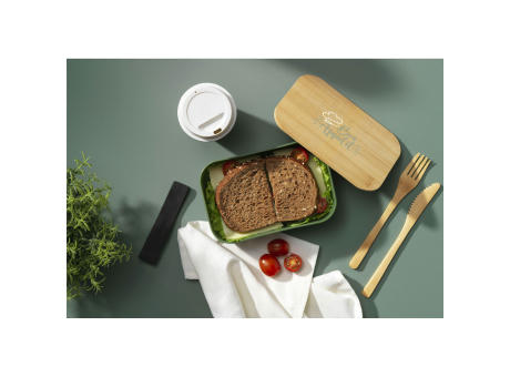 Midori Bamboo Lunchbox