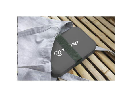 Amuse Recycled PP Lunch Box