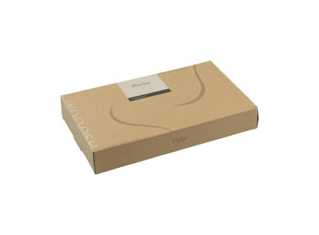 Amuse Lunchbox 3-in-1