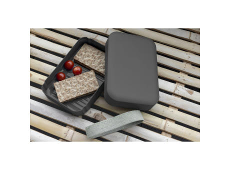 Amuse Recycled PP Lunch Box Large