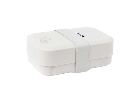 Amuse Classic Lunchbox Medium