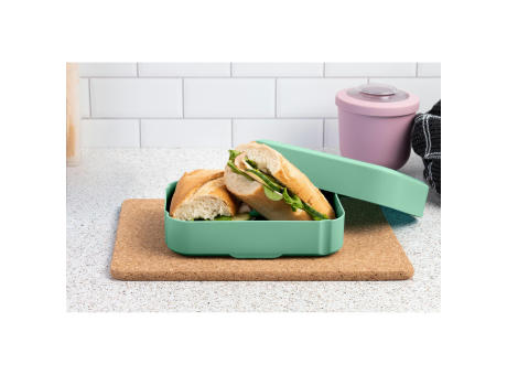 Amuse Classic Lunchbox Medium