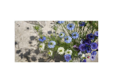 Sproutworld Unsharpened Pencil Bleisstift ungespitzt