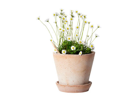 Sproutworld Unsharpened Pencil Bleisstift ungespitzt