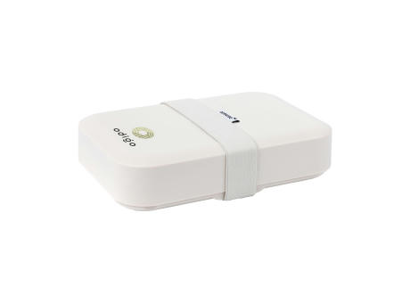 Amuse Classic Lunchbox Large