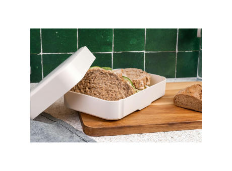 Amuse Classic Lunchbox Large