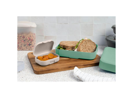 Amuse Classic Lunchbox Large