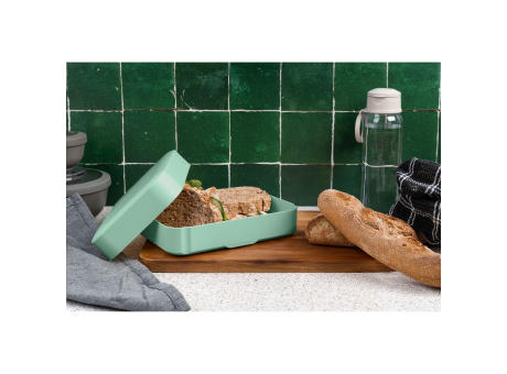 Amuse Classic Lunchbox Large