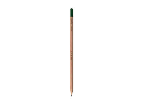 Sproutworld Sharpened Pencil Bleistifte angespitzt