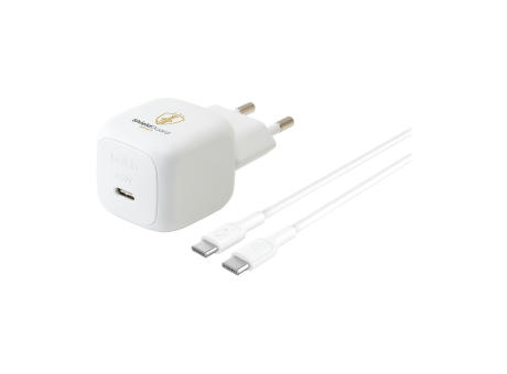 Belkin 45W USB PD Wall Charger mit PPS und Cable
