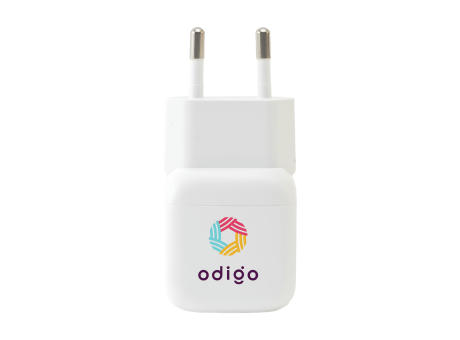 Belkin 45W USB PD Wall Charger mit PPS und Cable