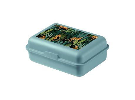 iMould LunchBreak Eco Lunchbox