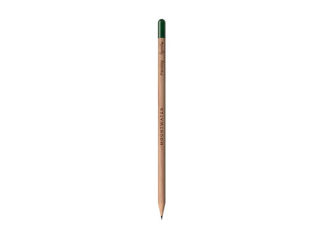 Sproutworld Sharpened Pencil Bleistifte angespitzt