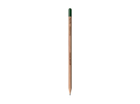 Sproutworld Sharpened Pencil Bleistifte angespitzt