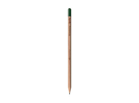 Sproutworld Sharpened Pencil Bleistifte angespitzt