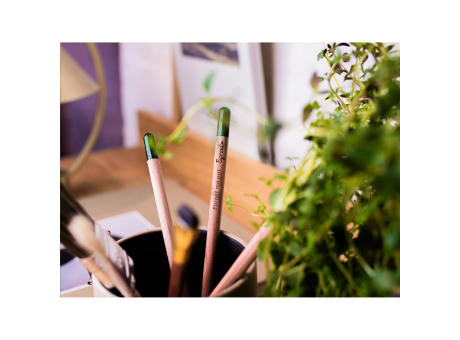 Sproutworld Unsharpened Pencil Bleisstift ungespitzt