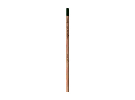 Sproutworld Unsharpened Pencil Bleisstift ungespitzt