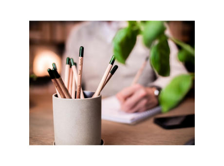 Sproutworld Unsharpened Pencil Bleisstift ungespitzt