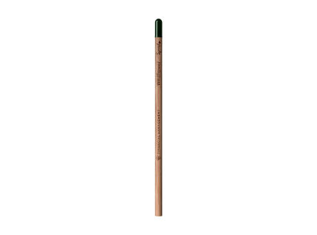 Sproutworld Unsharpened Pencil Bleisstift ungespitzt