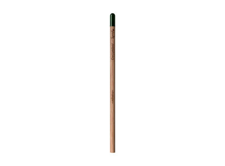 Sproutworld Unsharpened Pencil Bleisstift ungespitzt