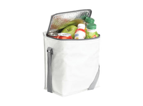 FreshCooler 12 Pack Kühltasche