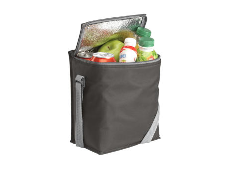 FreshCooler 12 Pack Kühltasche