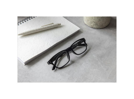 Plastic Bank Reading Glasses Lesebrille