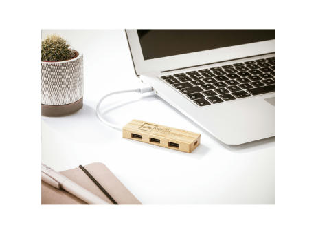 Bamboo USB Hub