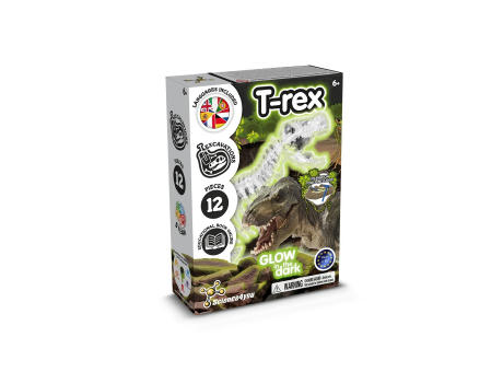 Fossil Excavation Kit I. Juego educativo para niños