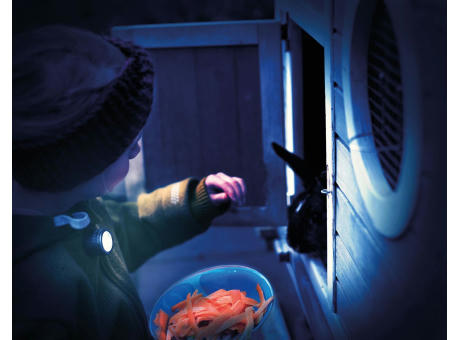 TROIKA Taschenlampe ECO RUN PRO