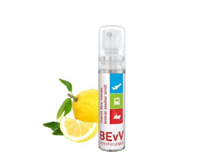 20 ml Pocket Spray - Handreinigungsspray (alk.) - Body Label