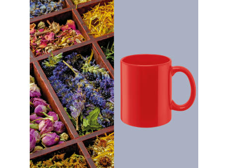 senator - Carina Colour Steinzeugtasse