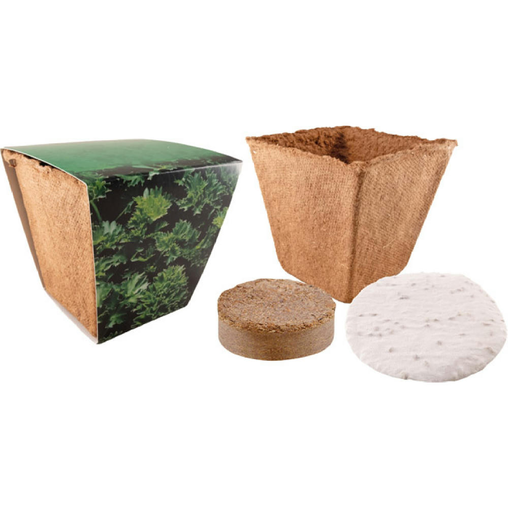 Kräuter Starter Kit