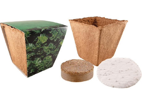 Kräuter Starter Kit